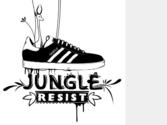 PROJET ADIDAS 2010 A L OCCASION DE LA REEDITION DU MODEL GAZELLE SKATE;ILLUSTRATION,CAMPAGNE AFFICHES,SHOP,CARTES, THEMATIQUE: JUNGLE URBAINE