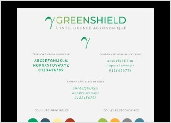 Refont du logotype de l'entreprise Greenshield. Création d'une charte graphique.