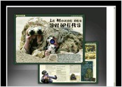 Création et mise en page du magazine \"Commando\", 80 pages, trimestriel, pour le compte de la société Verbal Publishing.
