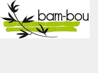 Création d'un logo pour une société de vente de produits en bambou.