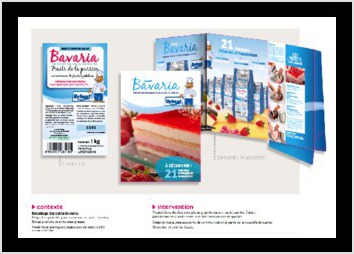 descriptif portfolio pegcitron 