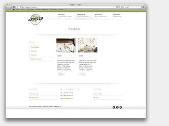 -Charte graphique-Webdesign-Intgration Wordpress