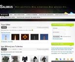 descriptif portfolio salimus 