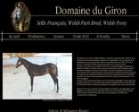 Réalisation d'un site internet vitrine pour un élevage de chevaux.