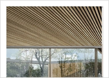 Images de syntheses pour Christophe Couzy _Projet Balma Vidaillant (Concour)