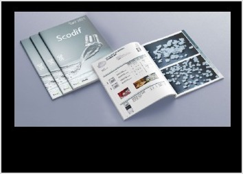 Brochure de tarifs reprenant toutes les références de l'entreprise Scodif spécialisée dans la vente de machine à glace.