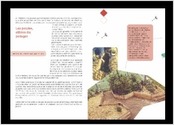 Brochure de 76 pages, sur la réalisation de projets verts des Maisons de jeunes. Quadrichromie réalisé sur un papier écologique, photos fournies par le client. Impression à la charge du client.