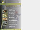 essai flyer pour la vente de KOI , bassin et accessoires. 