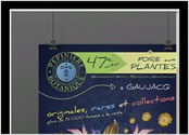 Cration en lien avec la ppinire botanique Jean et Frdrique THOBY. Une superbe quipe je vous recommande d aller voir leur site : www.pepiniere-botanique.com