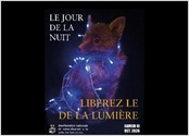 J ai pris un renard empaill autour duquel j ai enroul une guirlande jusqu  "l trangler". Dans le mme principe que pour Rvolt, le but est d inviter le spectateur  le librer de ses chanes de lumires.

Pour amener de la douceur dans cette mise en page j ai utilis une typographie de type elzvir. En effet, celle-ci fait rfrence aux romans ou  la posie. Pour voir mon univers graphique vous pouvez aller sur mon compte insta : Chlo Vizier