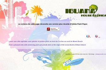 Cration graphique, direction artistique et ralisation du site de location de villa  Miami "Iguana house"