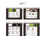 Cration Logo, blason, web design du site de vente de vins NUANCES DU SUD