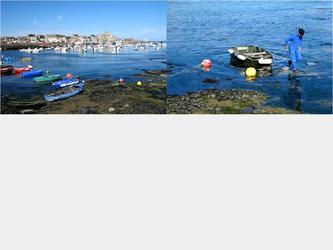 Réglages doptimisation  Retouches  Photomontages  Detourages  Animations 