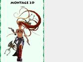 Montage 2D d\