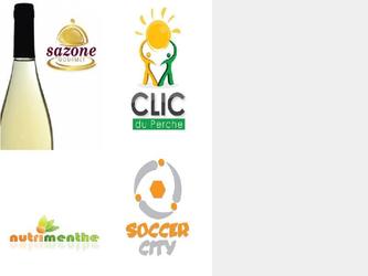 descriptif portfolio zdf logo