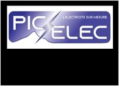 Réalisation du logo & carte de visite pour l'entreprise Pic Elec