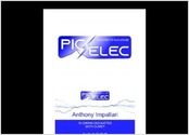 Réalisation logo & carte de visite pour entreprise Pic Elec